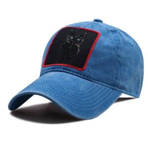 Drake Cap